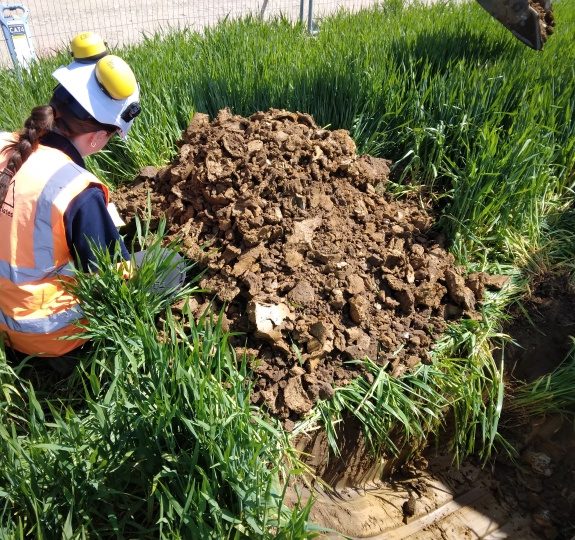 Ground Investigation Norwich