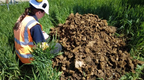 Environmental monitoring